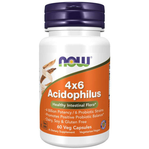 JETZT Acidophilus 4x6 Probiotika, 60 Kapseln 