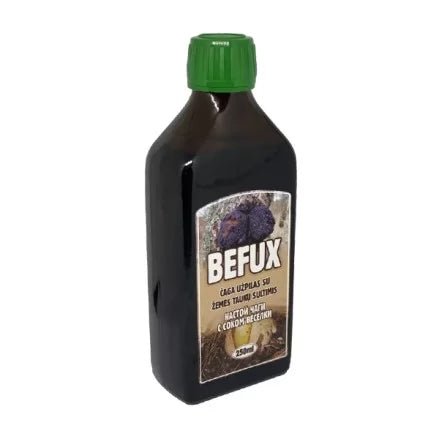 Čiaga užpilas su žemės taukų sultimis, 250 ml kaina